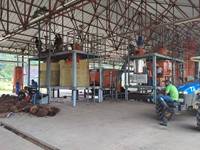 Automatische nieuwe 1-2TPH Afrikaanse rode palmolie-extractiemachinefabriek van verse palmboomscheuten, koud & warm persen, hoge productiviteit