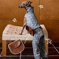 Combinaison élégante pour chien en denim coton et polyester, imprimé étoiles, avec garniture en cuir, 4 pattes, intégrale, pour Greyhound Whippet, coupe ajustée
