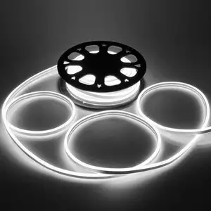 AC220V Cuttable 50 Meter Silicone Neon Dc12V Dc24V Double Side Led Neon Light Strip