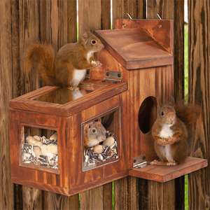 Mangeoire Chipmunk en bois de haute qualité à l'extérieur de la boîte durable mangeoire d'écureuil en bois pour le maïs - Product Image 4
