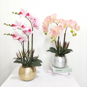 Hoa Lan Hồ Điệp Tùy Chỉnh Mới Nhất Hoa Nhân Tạo Cây Cảnh Đặt Trong Chậu Hoa Lan Hồ Điệp Cảm Ứng Thật - Product Image 4