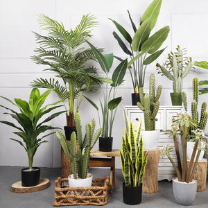 Plantas artificiales de aloe <span class=keywords><strong>vera</strong></span> <span class=keywords><strong>en</strong></span> maceta, decoración para el hogar con maceta de alta calidad, venta al por mayor - Product Image 4