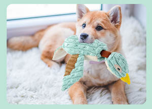 Elastic cepet elastik ördek köpek peluş oyuncaklar nane yeşil parmak çanta streç köpek gıcırtılı oyuncaklar interaktif ses diş taşlama köpek oyuncaklar - Product Image 6