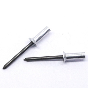 Trung Quốc giá rẻ nhôm thép đóng cuối chìm đầu đinh tán mù với thép trục gá - Product Image 3