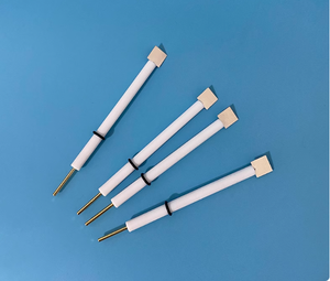 Electrodo de hoja de platino Pt210 <span class=keywords><strong>Laboratorio</strong></span> de alta pureza Electrodo de <span class=keywords><strong>trabajo</strong></span>/<span class=keywords><strong>auxiliar</strong></span> de platino 99,99 Múltiples especificaciones - Product Image 1