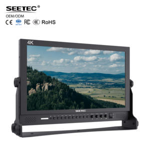 SEETEC FEELWORLD P173-9HSD 17.3 "SDI diffusion 17 pouces moniteur Portable directeur moniteur de diffusion - Product Image 1