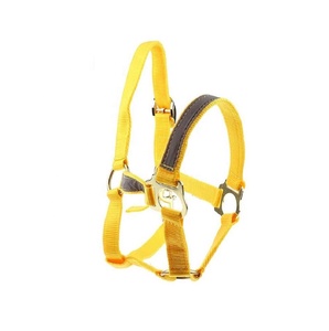 Licol professionnel en NYLON doux fluorescente, modelage du cou, réglable, équipement d'équitation - Product Image 1