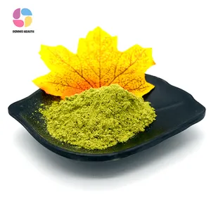 High Quality 99% Spinach Extract Powder