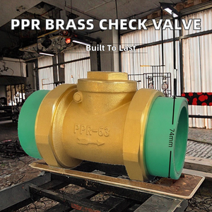 صمام فحص أفقي أحادي الاتجاه يدوي من النحاس PPR للمياه DN20-DN63، صمام عدم رجوع مزدوج الطرف بموصل لحام حراري - Product Image 2