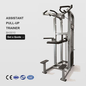 Machine d'entraînement commerciale assistée pour dips et tractions, couleur jaune-vert personnalisée, OEM, pour centre de fitness – Meilleures ventes - Product Image 1