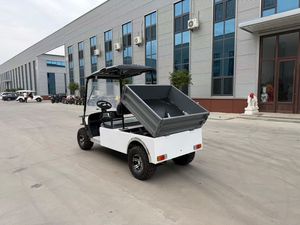 Camion électrique de qualité supérieure, UTV 2 places, chariot de golf avec benne de chargement, benne basculante automatique, capacité de charge de 500 kg, camion de transport électrique - Product Image 6