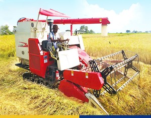 Potente Equipo <span class=keywords><strong>de</strong></span> Cosecha Agrícola AF88G 88HP Cosechadora <span class=keywords><strong>de</strong></span> Alto Torque para Huertos y Frutas - Product Image 4