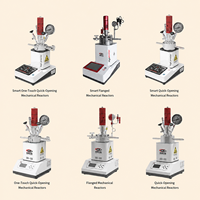 Réacteur haute pression de laboratoire personnalisable en acier inoxydable 316L, 12,5 MPa, 20-300 ℃   Autoclave agitateur avec condenseur, garantie 1 an, certifié GB/T