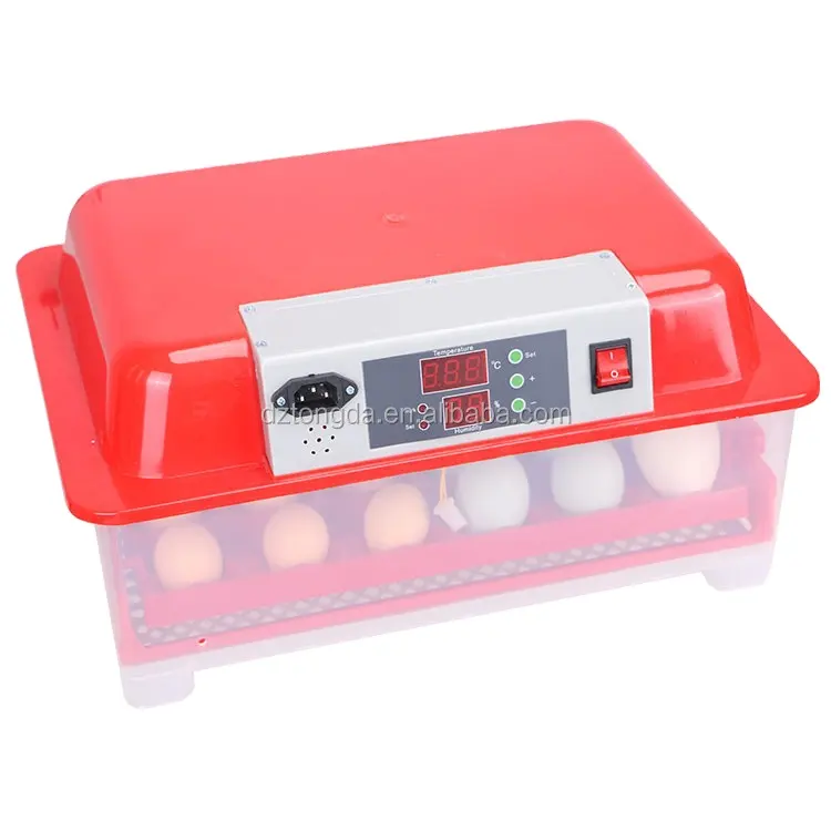 WQ-24 mini egg incubator for sale
