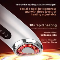 Appareil de soin de la peau à lumière colorée multi-fréquences, rouleau facial raffermissant, vibration, lifting du visage, microcourant, masseur facial