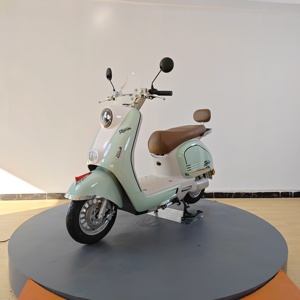 Motocicleta Eléctrica Deportiva de Alta Velocidad (55KM/H) con Motor de 1000W, Motocicleta Eléctrica de Dos Ruedas, Venta al Por Mayor OEM de Alta Calidad - Product Image 3