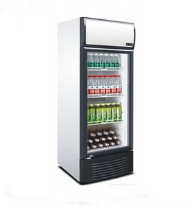 Réfrigérateur commercial <span class=keywords><strong>Frigidaire</strong></span> à double porte, congélateur Pepsi, réfrigérateur à deux portes, refroidisseur à air - Product Image 5