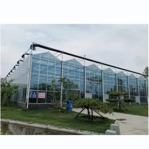 Lustro-Tech commerciale intelligente agricolo casa verde struttura di vetro struttura della serra prezzo