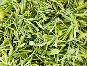 Máquina Profesional para Recoger Té, Recolectora de Hojas de Té con Batería de Litio, Máquina para Cosechar Té - Product Image 4