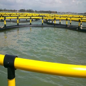 Jaula Circular Económica de HDPE para Peces, Tamaños Personalizados Disponibles para Negocios de Acuicultura Costera - Product Image 4