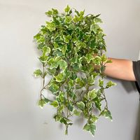 Plantes artificielles vertes tombantes en plastique, feuilles de simulation, mur végétal suspendu 49CM pour la décoration murale intérieure et extérieure