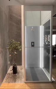 Ascenseur de passager à traction 400kg ascenseur domestique électrique intérieur extérieur Villa ascenseur résidentiel 2-6 <span class=keywords><strong>personnes</strong></span> - Product Image 2