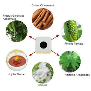 Patch Minceur HAOBLOC de Médecine Traditionnelle Chinoise pour la Perte de Poids - Product Image 3