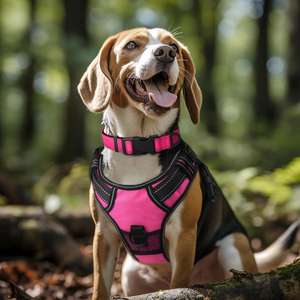 Collar de Lujo para Perros Grandes Joytale, Acolchado de Neopreno Suave, Anillo en D de Metal, Ajustable, Reflectante, Color Rosa Intenso, Talla L, para Todas las Etapas de la Vida - Product Image 4