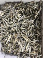 Produit Spécial du Vietnam : Anchois Séchés (Variété GLOBEFISH) Certifiés HACCP, 10kg/carton, Prix Bas en Gros, M. Kevin