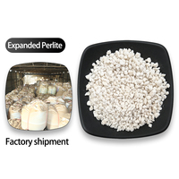 Perlite Horticulture Expansée de Qualité Supérieure – Plusieurs Tailles Disponibles – Substrat Léger et Poré pour Bonsaïs, Arbres Fruitiers et Culture en Pot