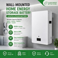 Batterie murale LiFePO4 Powerwall 51.2V 100Ah 200Ah 300Ah 5kWh 10kWh 15kWh pour stockage d'énergie solaire domestique