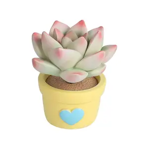 Cute simulated fleshy potted plants small fresh student gifts creative furniture decoration car ornaments resin crafts