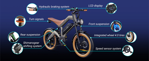 Vélo tout-terrain électrique 750W 48V 15.6Ah avec pneus larges, 20 pouces, double suspension, GYD2020, plus de 20 ans d'expérience dans le commerce extérieur - Product Image 5