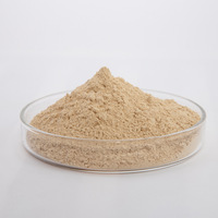 Magnésie Brûlée, Poudre de Magnésie pour Électrofusion, Sable de Magnésie Cristalline à Haute Température pour Matériaux Réfractaires