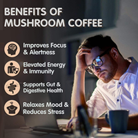 Poudre de café instantané aux champignons de qualité supérieure OEM, mélange adaptogène de café matcha, stimulant cérébral, soutien immunitaire pour la concentration et la santé intestinale