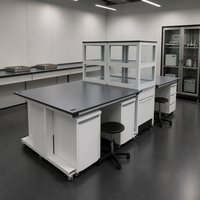 Banc d'islande de laboratoire en acier robuste avec plan de travail en résine époxy et rangement modulaire pour la recherche universitaire