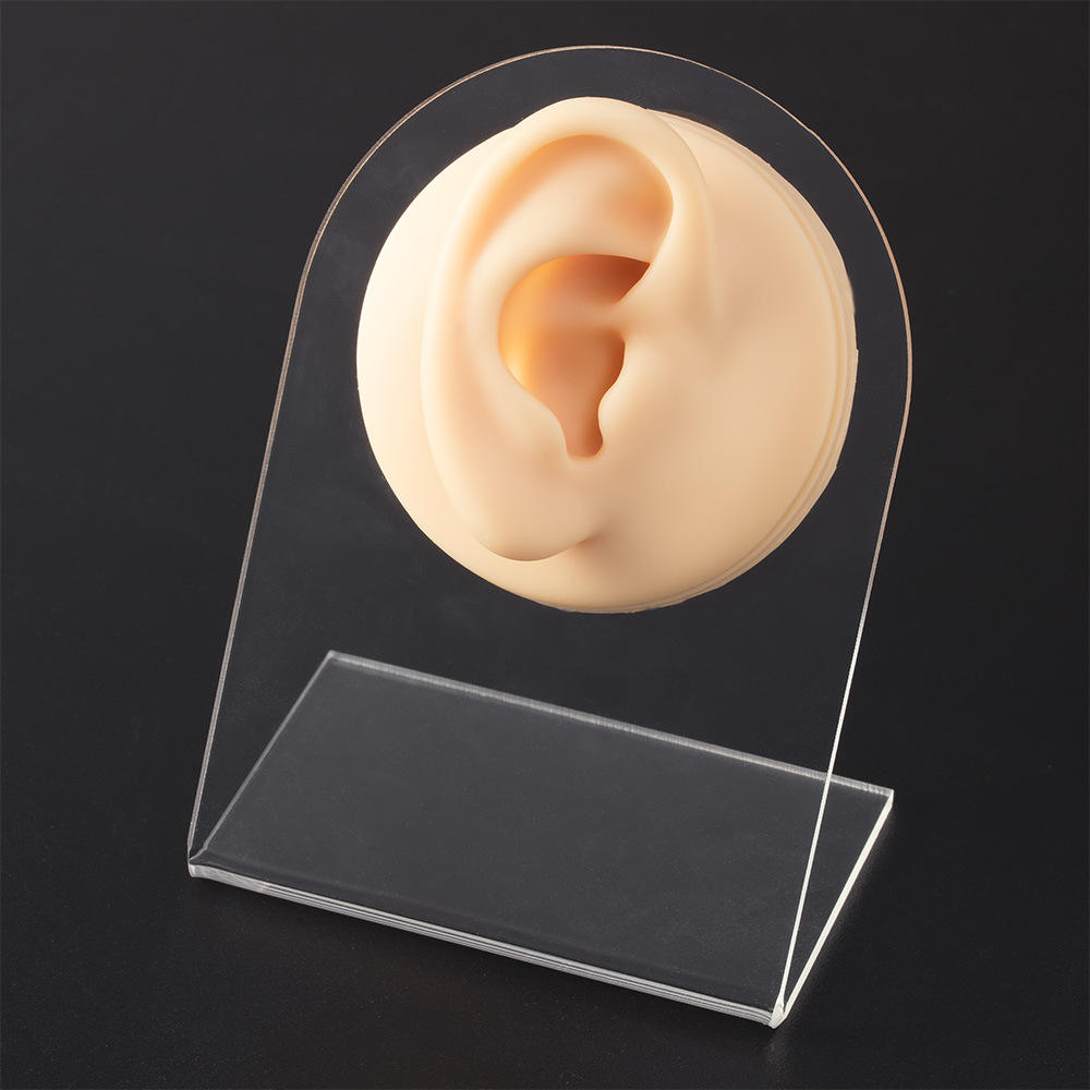 Light skin color right ear (with display stand)