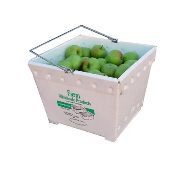 Confezione frutta/verdura scatola di Coroplast scatola di Broccoli Corn Box personalizzato PP imballaggio scatola di broccoli in plastica ondulata