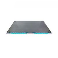 Kundenspezifisches HTN-Positivtransmissives Segment-LCD-Display für Kraftstoffspender mit Symbolleiste und LPM-Dichtezeichen