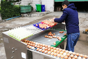 เครื่องคัดแยกไข่ห่าน เครื่องคัดแยกไข่ไก่ อัตโนมัติ เครื่องทำความสะอาดและคัดแยกไข่ขนาดเล็ก - Product Image 2