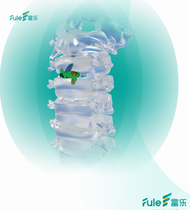 Harga Kompetitif Bersertifikasi CE Fule Titanium/PEEK Anterior Interbody Fusion Cage Kelas III Fiksasi Tulang Belakang Bedah Ortopedi - Product Image 6