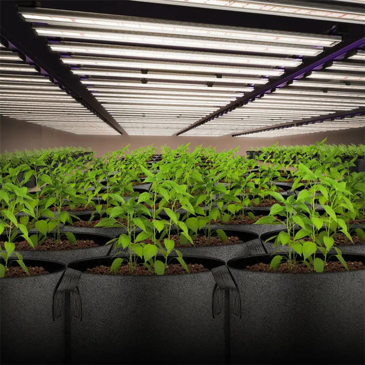 SeednleafフルスペクトルLedグローライト温室用成長Led植物成長Ledライト