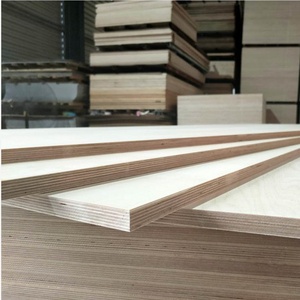 Barato abedul 3/4 920mm * 920mm 9mm 12mm 15mm 18mm hoja de madera contrachapada laminada marina - Product Image 6