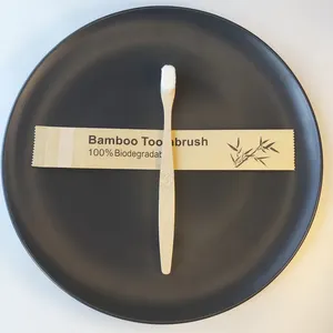 Sıcak satış toptan biyobozunur organik kömür Nano bambu diş fırçası yetişkinler için tasarım Logo standı ve Set ile seyahat