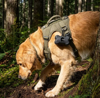 Distributeur de sacs à déjections canines en silicone en forme d'os, avec porte-sacs 100 % compostables et mousqueton à clipser sur la laisse, pour usage extérieur