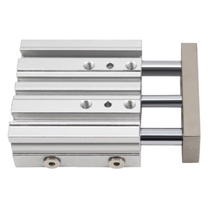 Deux vérins pneumatiques MGPM12 16 20 25 32 40 50 63 à double action avec tige de guidage pour usage industriel - Product Image 1