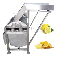 Elektrische Sinaasappelschil-En Sapmachine/Grapefruitsapmachine/Granaatappelsapmachine
