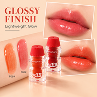 Ensemble de teintures à lèvres hydratantes colorées, teinte liquide légère effet eau, gloss à lèvres, maquillage, vente en gros, marque privée, OEM, ODM, teinture pour les lèvres