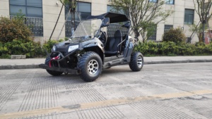<span class=keywords><strong>UTV</strong></span> de 250cc/<span class=keywords><strong>UTV</strong></span> Deportivo Utilitario Económico de 300cc en Oferta, Mini <span class=keywords><strong>UTV</strong></span> para Niños - Product Image 6