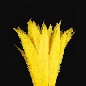 Pluma de avestruz <span class=keywords><strong>Nandu</strong></span> colorida para decoración de vestidos de boda, gran oferta - Product Image 3
